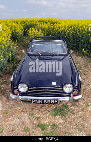 Triumph TR5 British Open Classic sports car Banque D'Images