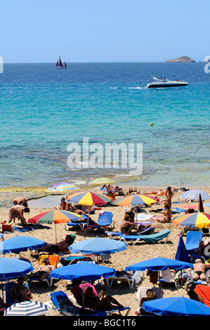 Plage, Cala Conta, Ibiza, îles de pins, Iles Baléares, Espagne, Europe Banque D'Images