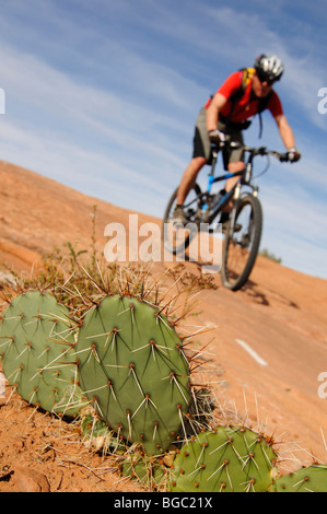 Le sentier de vélo de montagne Slickrock, Moab, Utah, USA Banque D'Images