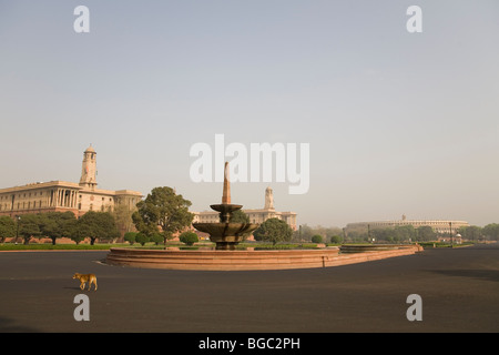 Un chien traverse la route en face d'une fontaine sur Vijay Chowk Road, l'une des grandes avenues de New Delhi, Inde. Banque D'Images