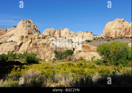 Course cycliste, Capitol Reef National Park, Utah, USA Banque D'Images