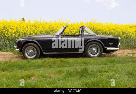 Triumph TR5 British Open Classic sports car Banque D'Images