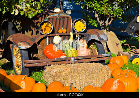 Voiture d'époque et des citrouilles sur l'affichage à un décrochage produisent à Keremeos, région Okanagan-Similkameen, Okanagan, Colombie-Britannique, peut Banque D'Images