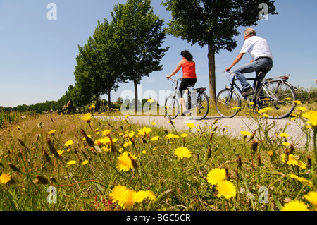 Les cyclistes, Sloten, Friesia, Hollande, Pays-Bas, Europe Banque D'Images