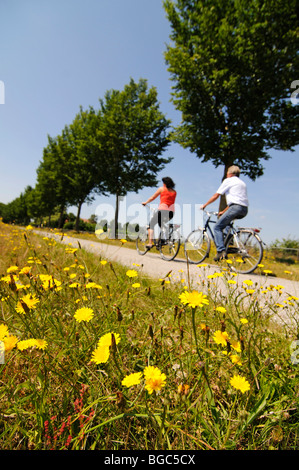 Les cyclistes, Sloten, Friesia, Hollande, Pays-Bas, Europe Banque D'Images