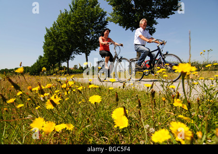Les cyclistes, Sloten, Friesia, Hollande, Pays-Bas, Europe Banque D'Images