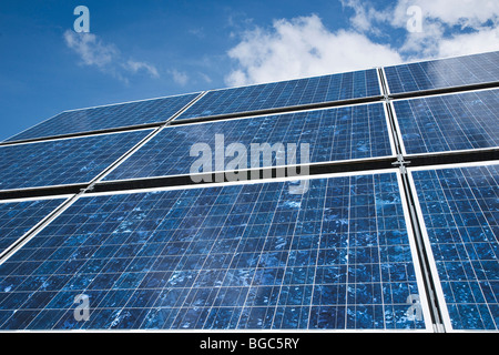 Les cellules solaires en silicium polycristallin dans un module solaire Banque D'Images