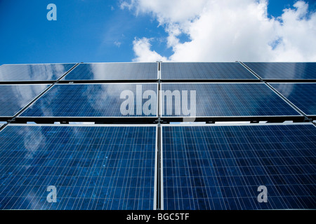 Les cellules solaires en silicium polycristallin dans un module solaire Banque D'Images