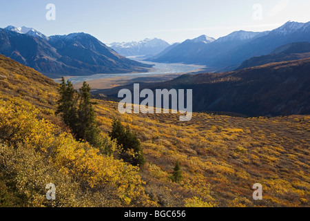 L'été indien, les feuilles en couleurs d'automne, vue depuis le mont Sheep dans la vallée de la rivière Slims, glacier Kaskawulsh, Elias Mountai Banque D'Images