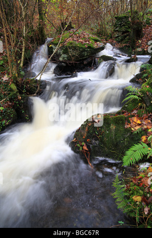 Enflé d'inondation ruisseau qui s'écoule du haut barrage Finsthwaite qui fournissait de l'eau pour le parc Stott bobbin Mill. Banque D'Images