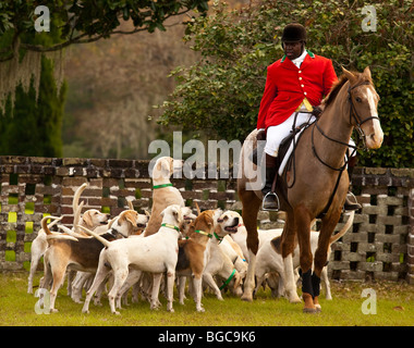 Maître de la meute à l'Middleton Place Fox Hunt sur la chambre de plantation du greensward Charleston, SC Banque D'Images