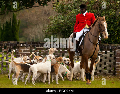 Maître de la meute à l'Middleton Place Fox Hunt sur la chambre de plantation du greensward Charleston, SC Banque D'Images