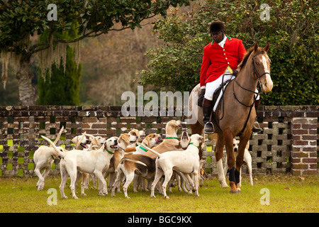 Maître de la meute à l'Middleton Place Fox Hunt sur la chambre de plantation du greensward Charleston, SC Banque D'Images