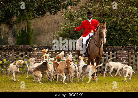 Maître de la meute à l'Middleton Place Fox Hunt sur la chambre de plantation du greensward Charleston, SC Banque D'Images