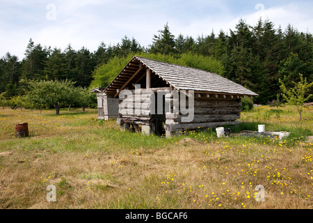 Une ancienne grange en bois rond, chiked avec de la boue, est en cours de reconstruction sur une ferme sur une île isolée dans l'État de Washington. Banque D'Images