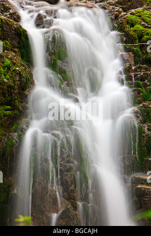 Cascade dans la forêt tropicale près de Port Alice, Nord de l'île de Vancouver, l'île de Vancouver, Colombie-Britannique, Canada. Banque D'Images