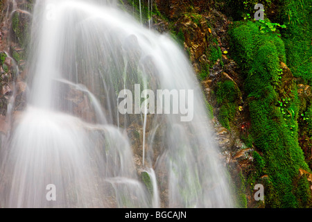 Cascade dans la forêt tropicale près de Port Alice, Nord de l'île de Vancouver, l'île de Vancouver, Colombie-Britannique, Canada. Banque D'Images