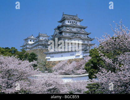 Château de Himeji, Himeji, préfecture de Hyogo, Japon Banque D'Images