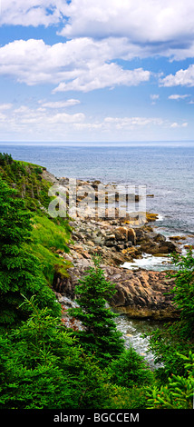 Vue panoramique de la côte rocheuse la côte atlantique de Terre-Neuve, Canada Banque D'Images