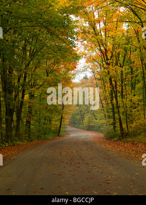 Des routes sinueuses à travers les magnifiques paysages nature automne brumeux. Le Parc Provincial Algonquin, en Ontario, Canada. Banque D'Images