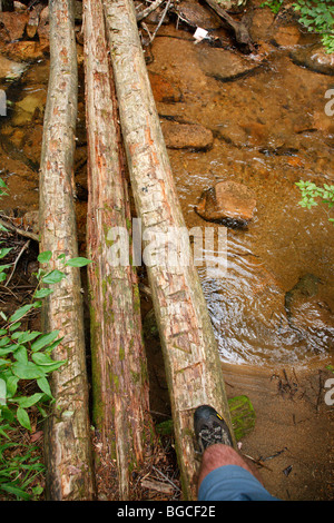 Pont le long sentier de l'étang de Nancy, qui traverse le ruisseau, dans l'encoche Pemigewasset Wilderness des Montagnes Blanches du New Hampshire. Banque D'Images