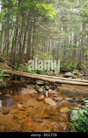 Pont le long sentier de l'étang de Nancy, qui traverse le ruisseau, dans l'encoche Pemigewasset Wilderness des Montagnes Blanches du New Hampshire. Banque D'Images