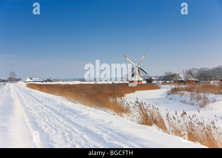 Moulin, Noordermolen Noorddijk, Groningen, Pays-Bas Banque D'Images