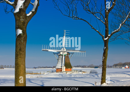 Moulin l'agneau blanc ('t Witte Lam) Zuidwolde, Groningen, Pays-Bas Banque D'Images
