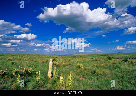 Santa Fe Trail marker dans le Kiowa National Grassland, près de Clayton, New Mexico, USA Banque D'Images