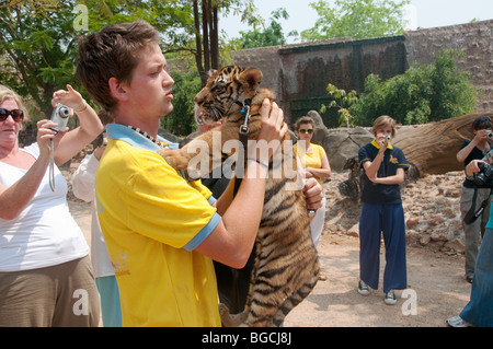 Un gardien du Royaume-Uni portant un Tiger Cub au tiger temple à Kanchanaburi, Thaïlande Banque D'Images