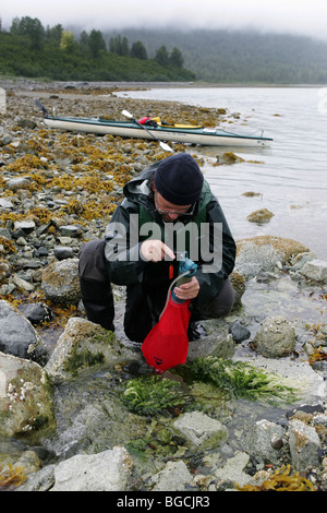 Réservoir d'eau d'alimentation. Excursion en kayak dans le parc national Glacier Bay, Alaska, USA. Banque D'Images