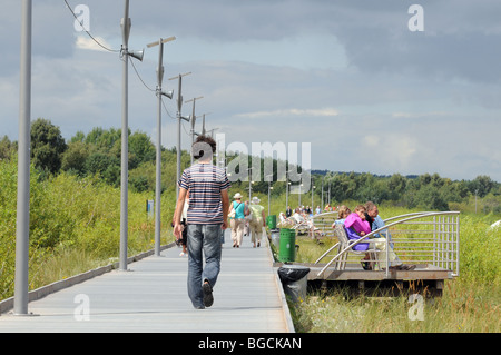 Sentier de bois sur les dunes de sable le long de la mer Baltique à Swinoujscie, Pologne Banque D'Images