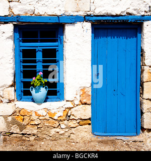 Un pot en terre cuite cyan est titulaire d'un rose plante sur un rebord de fenêtre à côté d'une porte en bois. Les deux sont peintes en bleu profond Grecian BZH Banque D'Images