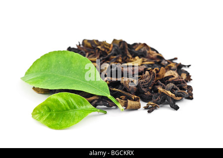 Plateau avec leaf isolated Banque D'Images