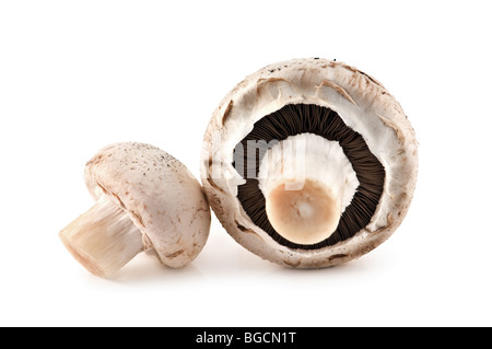 Deux mushroom isolated on white Banque D'Images