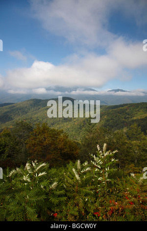 Caroline du Nord NC Appalachian Mountains à Blue Ridge Parkway National Forests aux États-Unis vue d'en haut de la verticale Amérique du Nord en haute résolution Banque D'Images