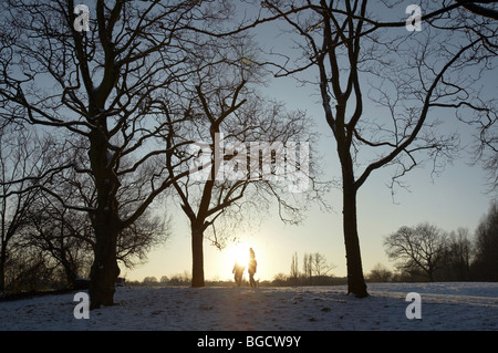 Hiver neige et glace sur Hampstead Heath à Londres Angleterre Royaume-Uni Banque D'Images