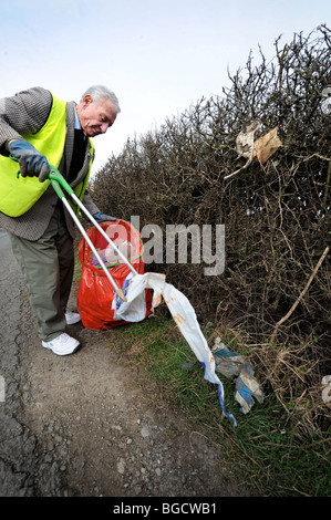 Stan Pierre inférieur de Apperley Gloucestershire UK qui recueille volontairement dans le domaine de la litière Banque D'Images