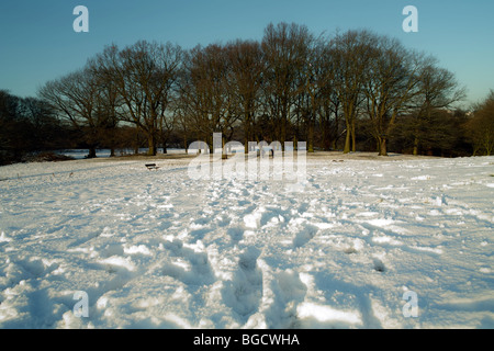 Hiver neige et glace sur Hampstead Heath à Londres Angleterre Royaume-Uni Banque D'Images