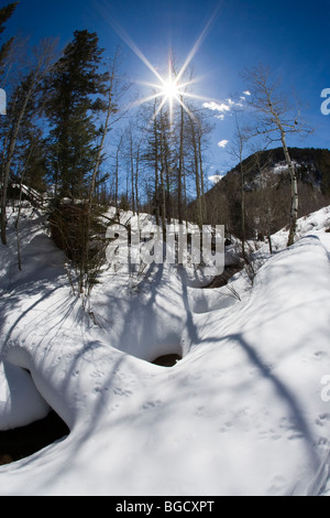 Beaux paysages d'hiver, ciel bleu au-dessus de la cime des arbres sunburst ombres profondes des bancs de neige blanc empreintes animales menant au ruisseau Colorado-NOUS Banque D'Images