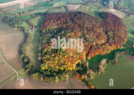 Vue aérienne, la crête boisée Habichtswald en automne, Kassel, Hesse du Nord, Hesse, Germany, Europe Banque D'Images