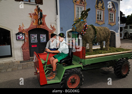 Transport de bétail, Mittenwald, Karwendel, Bavaria, Germany, Europe Banque D'Images