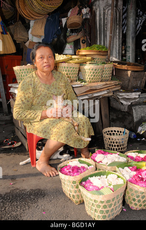 En vendeuse de fleurs avec un chat en face du marché de Jogyakarta, Central Java, Indonésie, Asie du Sud, Asie Banque D'Images