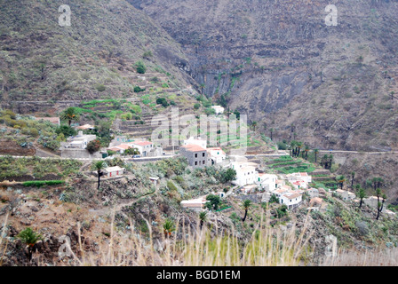 Paysage de Ténérife en chemin vers le Mont Teide. Îles Canaries Banque D'Images