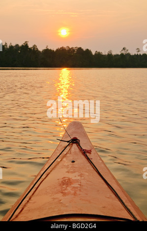 Kayaks sur la rivière Alligator dans l'est de la Caroline du Nord, USA, une partie de l'Alligator River National Wildlife Refuge. Banque D'Images