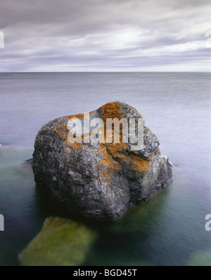 MINNESOTA - Moss rock couvert le long de la rive du lac Supérieur au phare de Split Rock State Park. Banque D'Images