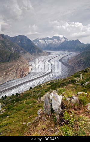 Glacier en face du produit brut Wannenhorn et Klein Wannenhorn Montagne, Alpes Bernoises, Valais, Suisse, Europe Banque D'Images