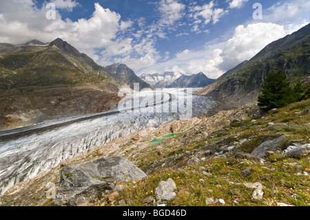 Glacier d'Aletsch devant Zenbaechenhorn, Rothorn, Gross Wannenhorn et Klein Wannenhorn Montagne, Alpes Bernoises, Valais, SWI Banque D'Images