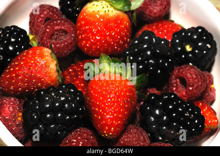 Mixed summer fruits / baies Banque D'Images