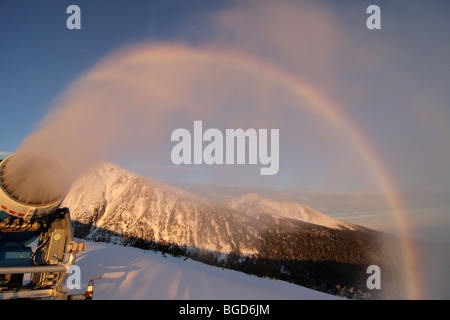 Canon à neige, Strbske Pleso, Hautes Tatras, Slovaquie Banque D'Images